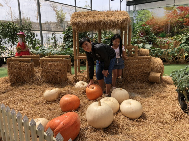 Chia sẻ về những chuyến du Xuân năm 2019 Chia sẻ về những chuyến du Xuân năm 2019