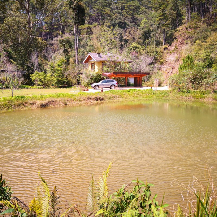 Đi chơi Đà lạt ngày Tết