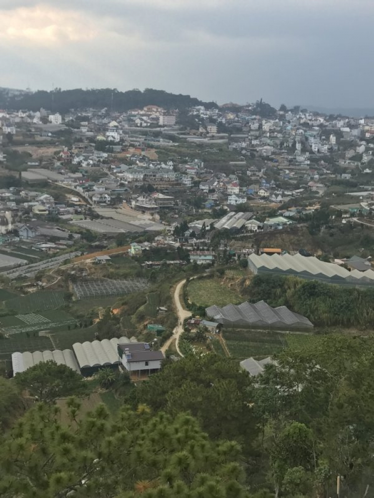 Đi chơi Đà lạt ngày Tết Đi chơi Đà lạt ngày Tết