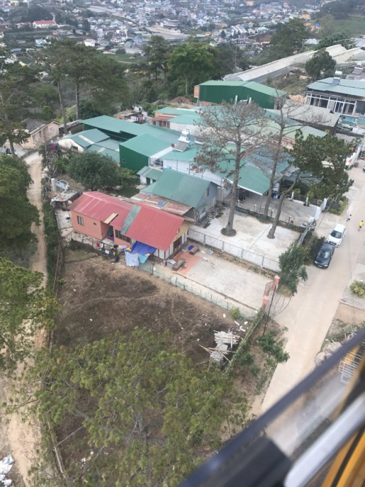 Đi chơi Đà lạt ngày Tết Đi chơi Đà lạt ngày Tết