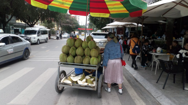 chia sẻ vài hình ảnh du xuân kỷ hợi 2019