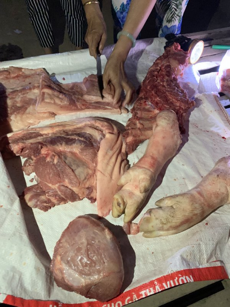 chia sẻ vài hình ảnh du xuân kỷ hợi 2019 chia sẻ vài hình ảnh du xuân kỷ hợi 2019