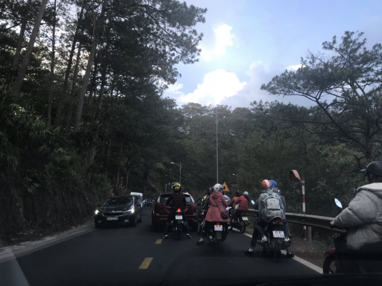 Đi chơi Đà lạt ngày Tết Đi chơi Đà lạt ngày Tết