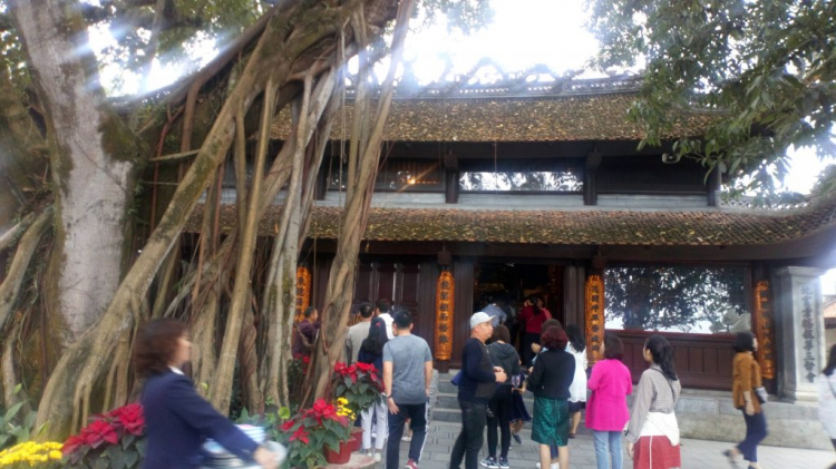 chia sẻ vài hình ảnh du xuân kỷ hợi 2019 chia sẻ vài hình ảnh du xuân kỷ hợi 2019