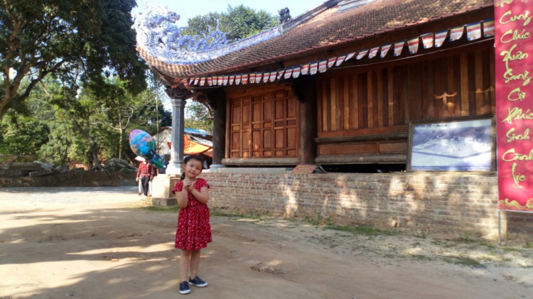 chia sẻ vài hình ảnh du xuân kỷ hợi 2019 chia sẻ vài hình ảnh du xuân kỷ hợi 2019