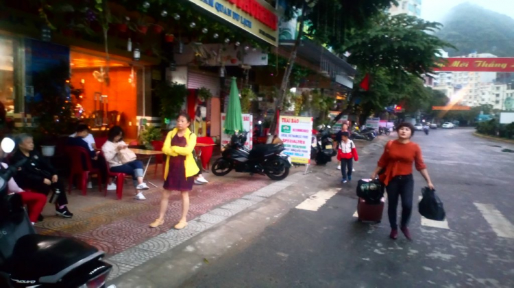 chia sẻ vài hình ảnh du xuân kỷ hợi 2019 chia sẻ vài hình ảnh du xuân kỷ hợi 2019