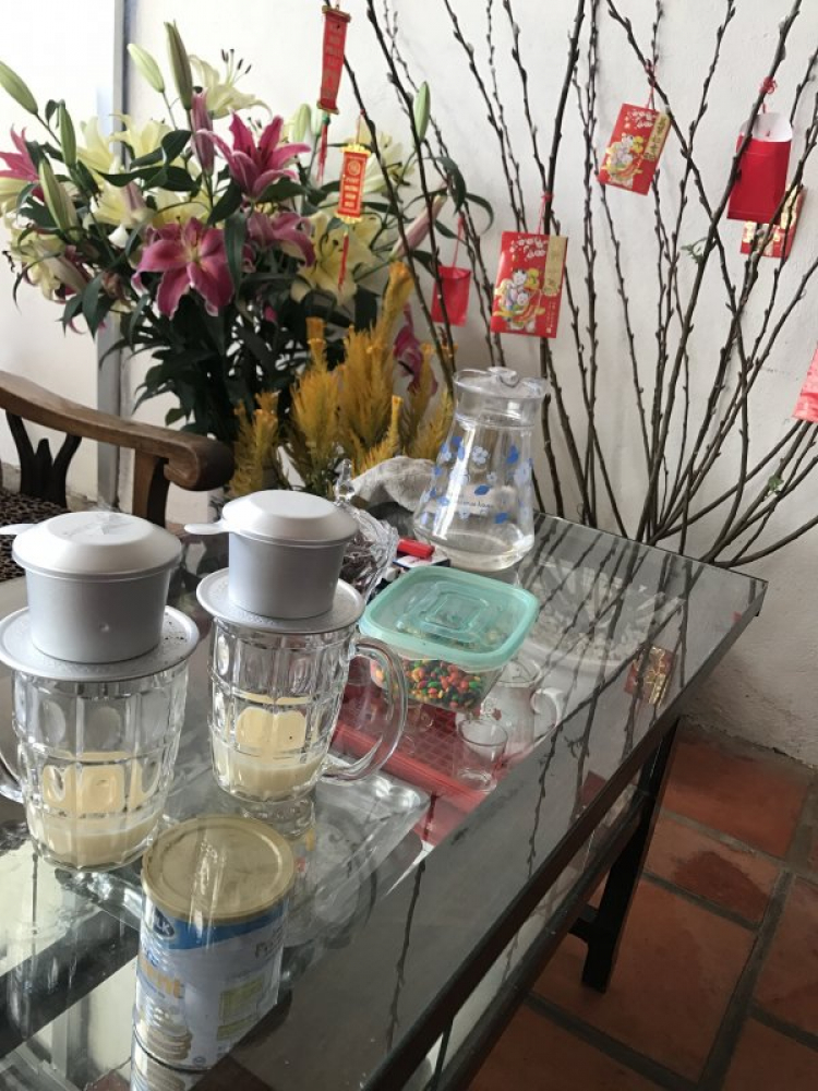 Đi chơi Đà lạt ngày Tết