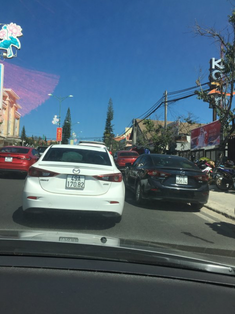 Đi chơi Đà lạt ngày Tết