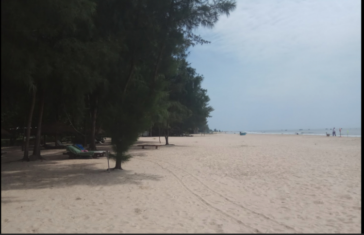 2 trường phái trong các thể loại resort