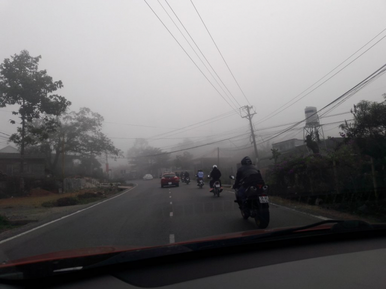 Đi chơi Đà lạt ngày Tết