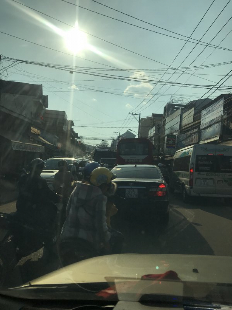Đi chơi Đà lạt ngày Tết Đi chơi Đà lạt ngày Tết