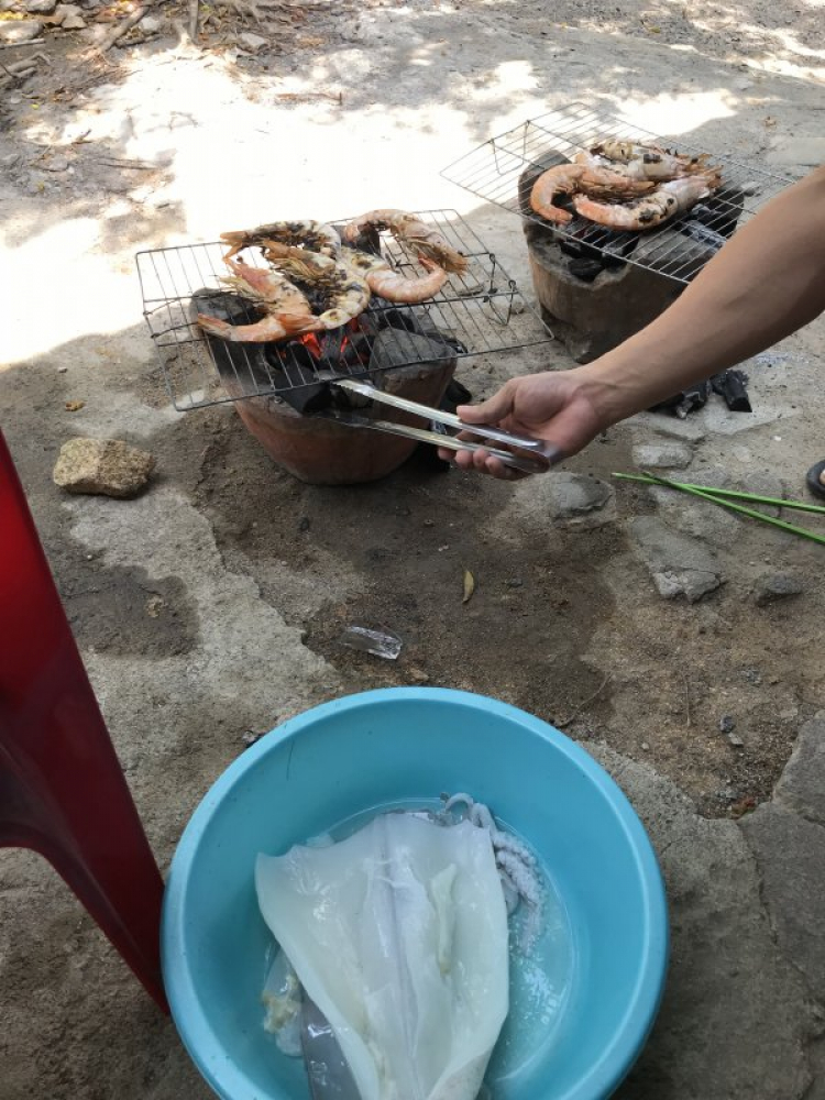 Tình hình chơi Tết Vũng Tàu Tình hình chơi Tết Vũng Tàu
