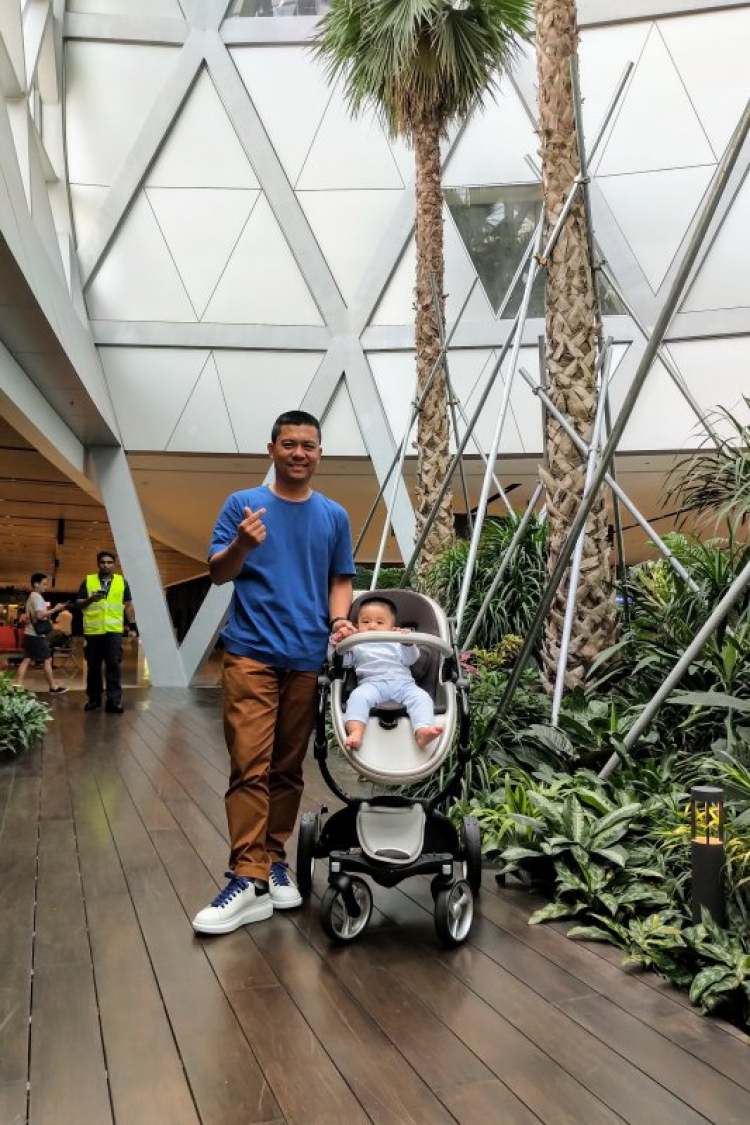 chia sẻ vài hình ảnh du xuân kỷ hợi 2019 chia sẻ vài hình ảnh du xuân kỷ hợi 2019