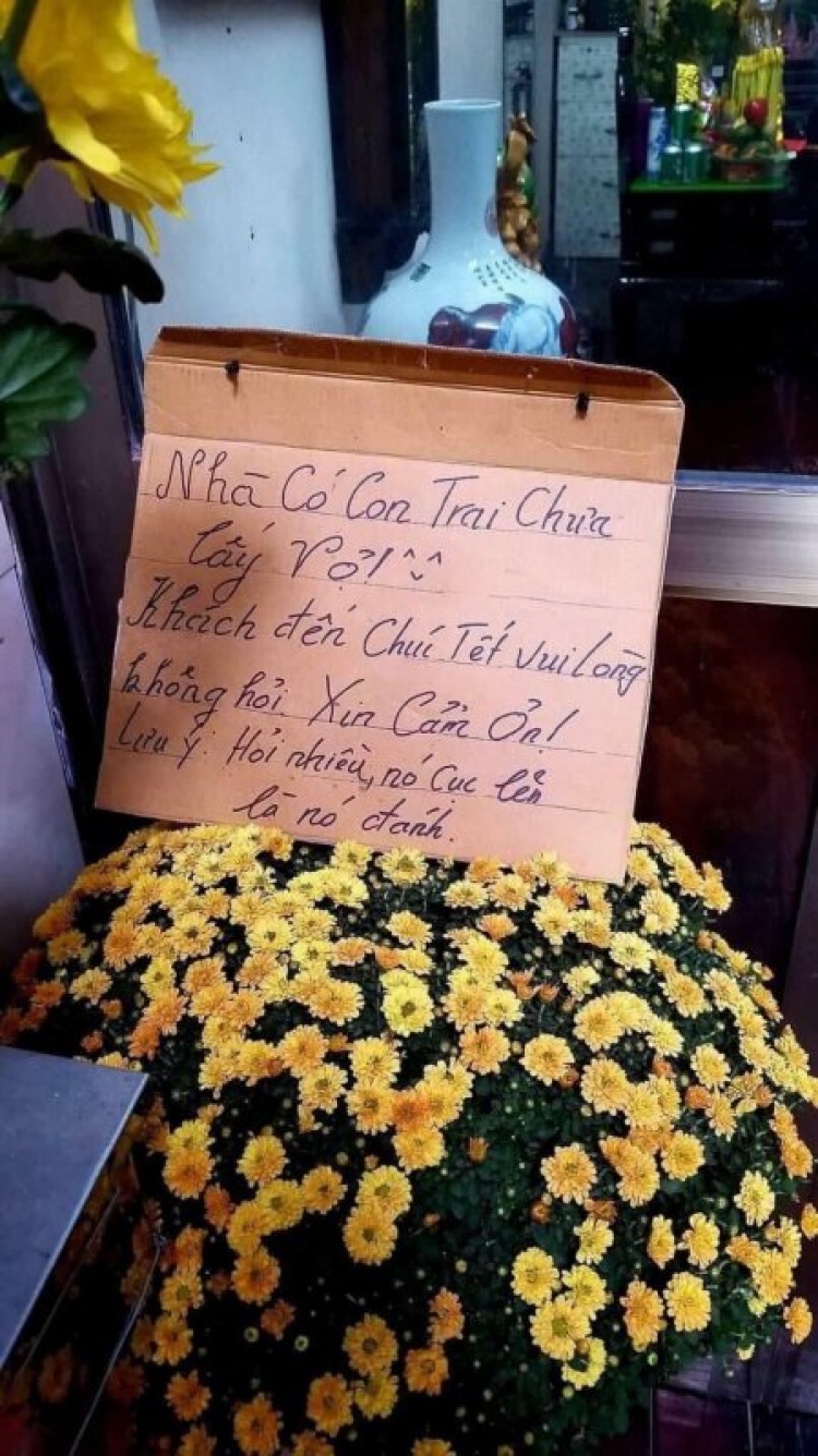 chia sẻ vài hình ảnh du xuân kỷ hợi 2019 chia sẻ vài hình ảnh du xuân kỷ hợi 2019