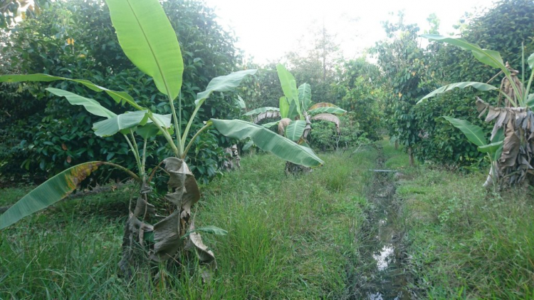 chia sẻ vài hình ảnh du xuân kỷ hợi 2019 chia sẻ vài hình ảnh du xuân kỷ hợi 2019