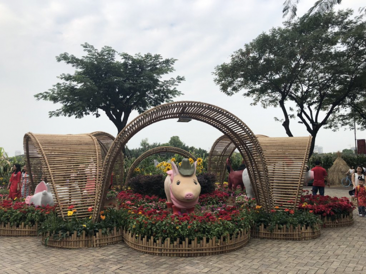 chia sẻ vài hình ảnh du xuân kỷ hợi 2019 chia sẻ vài hình ảnh du xuân kỷ hợi 2019