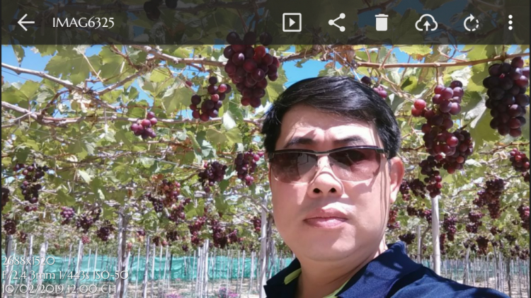 chia sẻ vài hình ảnh du xuân kỷ hợi 2019 chia sẻ vài hình ảnh du xuân kỷ hợi 2019