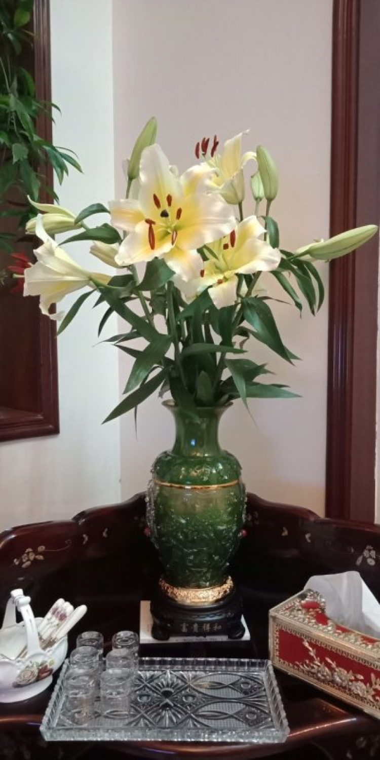 chia sẻ vài hình ảnh du xuân kỷ hợi 2019 chia sẻ vài hình ảnh du xuân kỷ hợi 2019