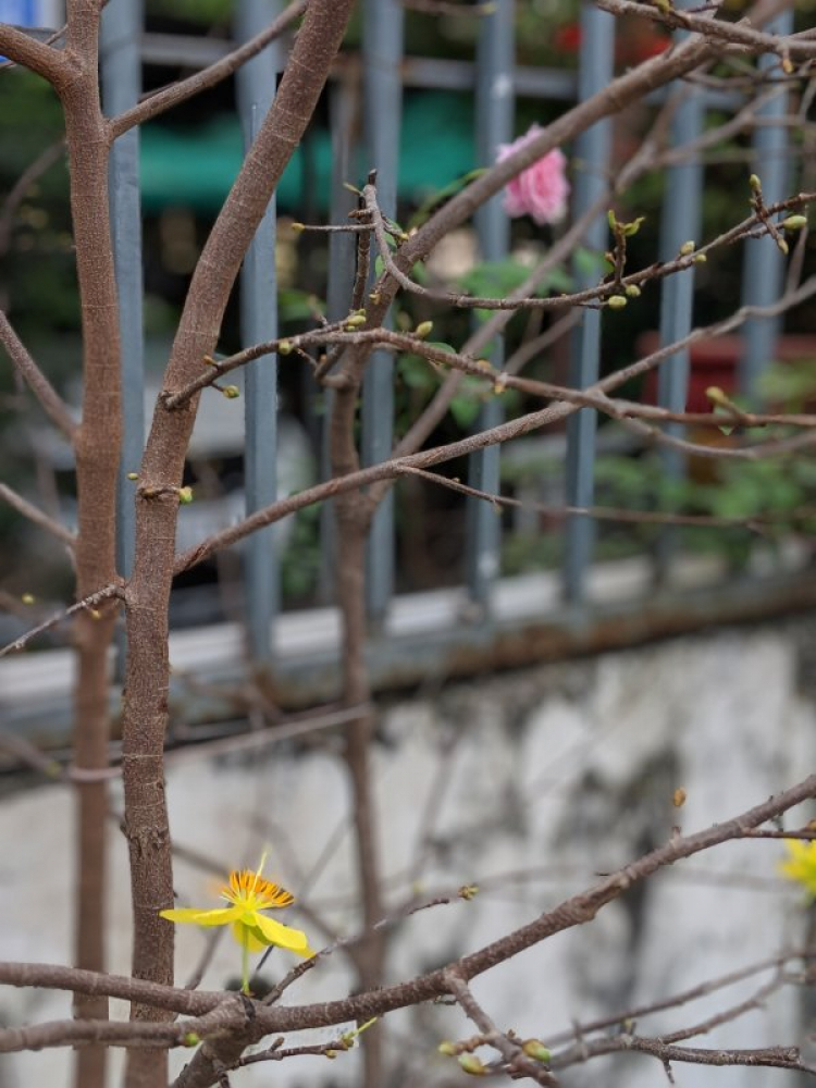Mun ., ơi, a chụp Micro Mun ., ơi, a chụp Micro