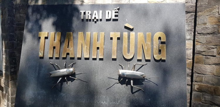 TRại Dế Thanh Tùng