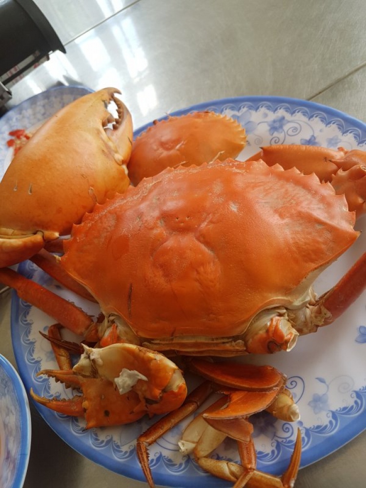 Mời các bác khoe ảnh đẹp trong những chuyến du Xuân Kỷ Hợi 2019 Mời các bác khoe ảnh đẹp trong những chuyến du Xuân Kỷ Hợi 2019