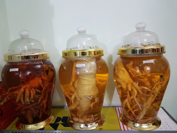 Mời các bác khoe ảnh đẹp trong những chuyến du Xuân Kỷ Hợi 2019 Mời các bác khoe ảnh đẹp trong những chuyến du Xuân Kỷ Hợi 2019