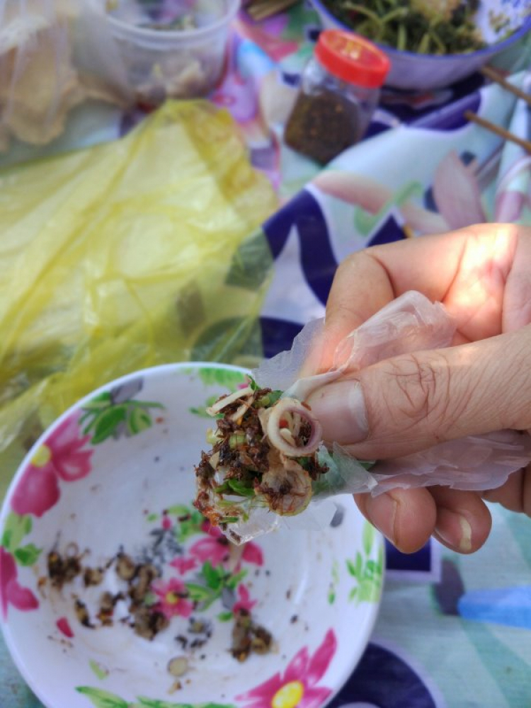 TRại Dế Thanh Tùng TRại Dế Thanh Tùng