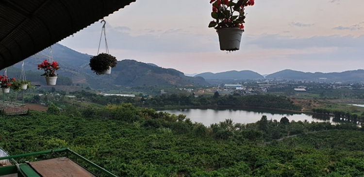 10 h đêm - cuồng chân - và thế là ...