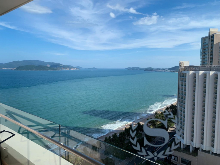 Hành trình về Quê ăn Tết 2019 (Biên Hòa - Đảo Lý Sơn) Hành trình về Quê ăn Tết 2019 (Biên Hòa - Đảo Lý Sơn)