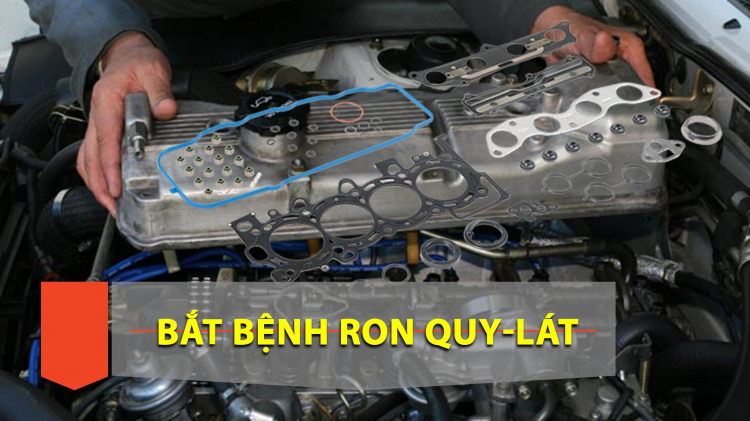 Check bệnh ron quy lát