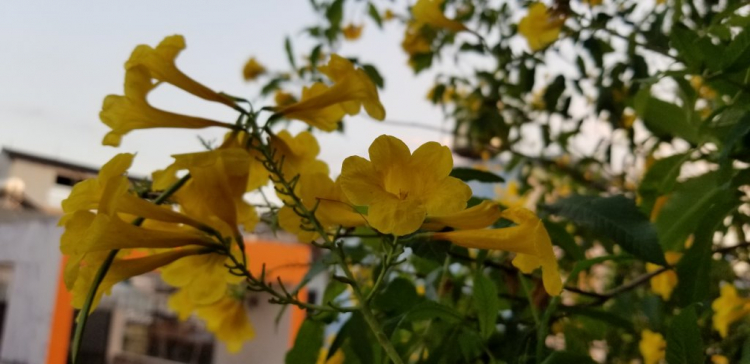 Valentine nên tặng gì cho vợ? Valentine nên tặng gì cho vợ?