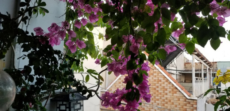 Valentine nên tặng gì cho vợ? Valentine nên tặng gì cho vợ?