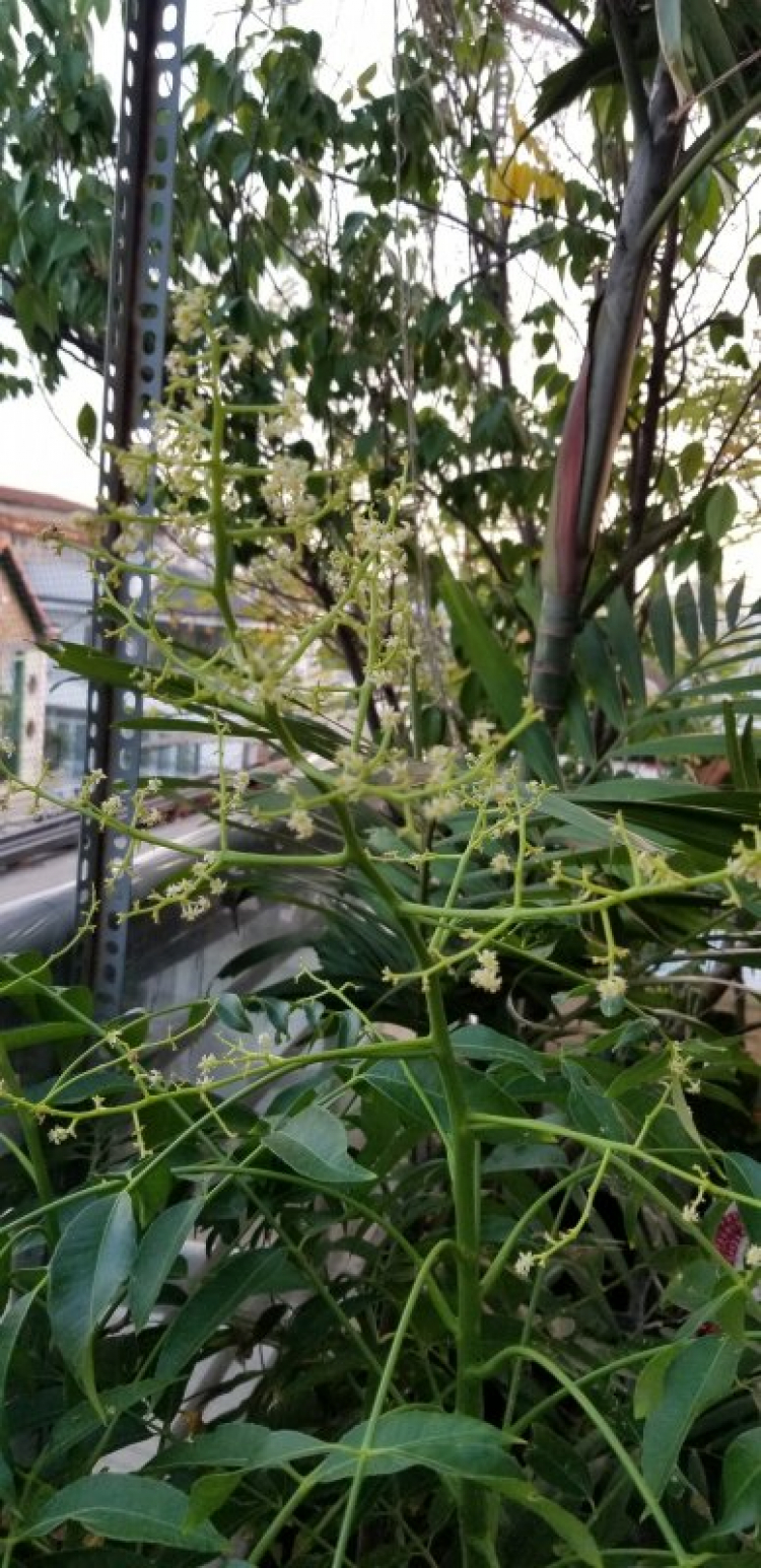 Valentine nên tặng gì cho vợ? Valentine nên tặng gì cho vợ?