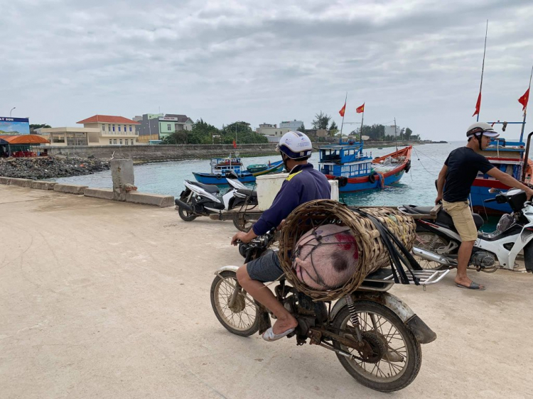 Hành trình về Quê ăn Tết 2019 (Biên Hòa - Đảo Lý Sơn)