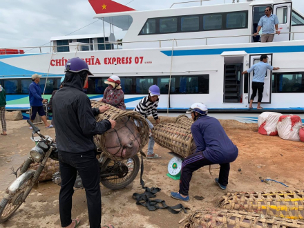 Hành trình về Quê ăn Tết 2019 (Biên Hòa - Đảo Lý Sơn)