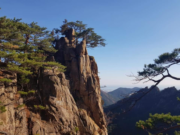 Kinh nghiệm du lịch Seoul Hàn Quốc Kinh nghiệm du lịch Seoul Hàn Quốc