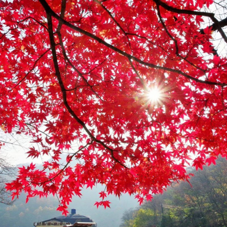 Kinh nghiệm du lịch Seoul Hàn Quốc Kinh nghiệm du lịch Seoul Hàn Quốc