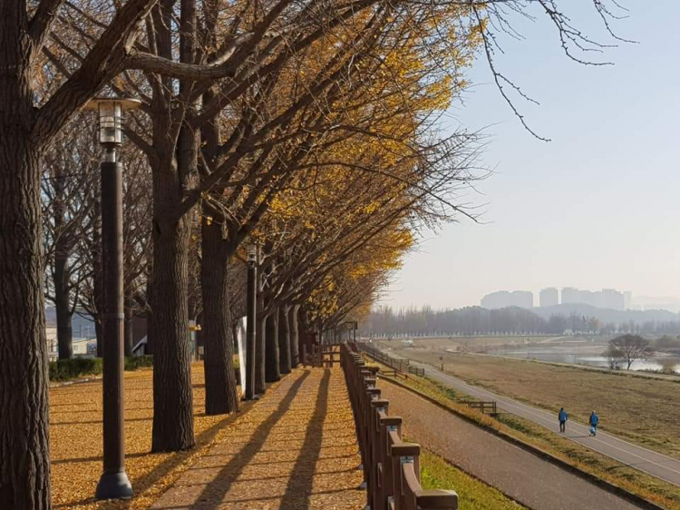 Kinh nghiệm du lịch Seoul Hàn Quốc Kinh nghiệm du lịch Seoul Hàn Quốc