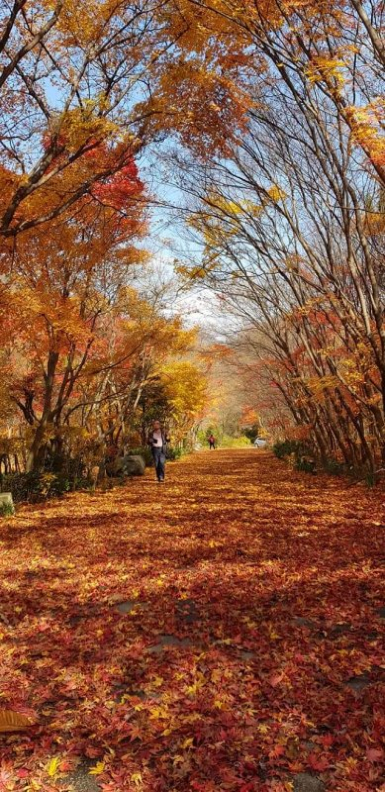 Kinh nghiệm du lịch Seoul Hàn Quốc