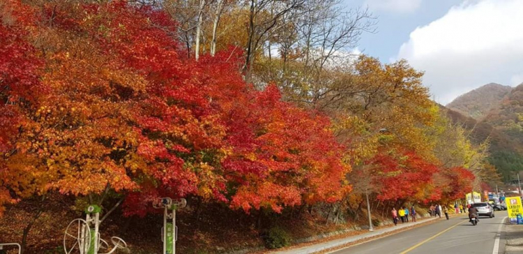 Kinh nghiệm du lịch Seoul Hàn Quốc