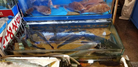 Kinh nghiệm du lịch Seoul Hàn Quốc Kinh nghiệm du lịch Seoul Hàn Quốc