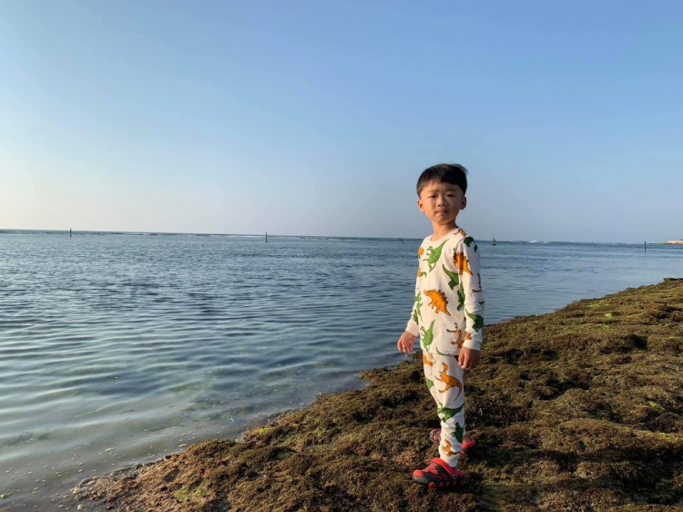 Hành trình về Quê ăn Tết 2019 (Biên Hòa - Đảo Lý Sơn) Hành trình về Quê ăn Tết 2019 (Biên Hòa - Đảo Lý Sơn)