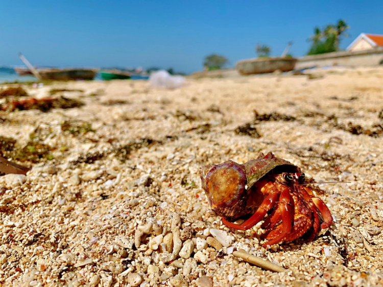 Hành trình về Quê ăn Tết 2019 (Biên Hòa - Đảo Lý Sơn)