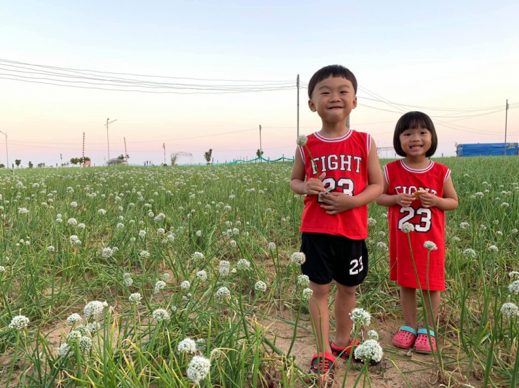 Hành trình về Quê ăn Tết 2019 (Biên Hòa - Đảo Lý Sơn)