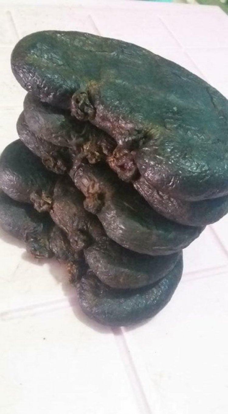 Tổ ong nguyên tổ hàng Tây Bắc Tổ ong nguyên tổ hàng Tây Bắc