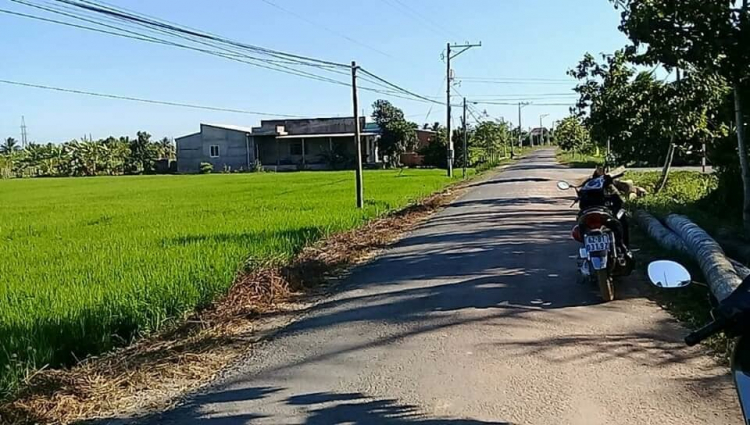 Đất vườn ! Đất vườn !