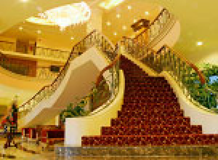 NƠI TỤ TẬP ĂN CHƠI VÀ ĐÓN CHÀO THÀNH VIÊN MỚI CỦA AE SORENTO ! NƠI TỤ TẬP ĂN CHƠI VÀ ĐÓN CHÀO THÀNH VIÊN MỚI CỦA AE SORENTO !