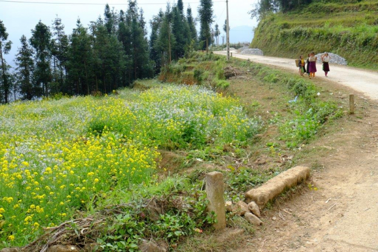 Hành trình xuyên Việt 6.000km cùng bán tải Ford Ranger Wildtrak 3.2 Hành trình xuyên Việt 6.000km cùng bán tải Ford Ranger Wildtrak 3.2