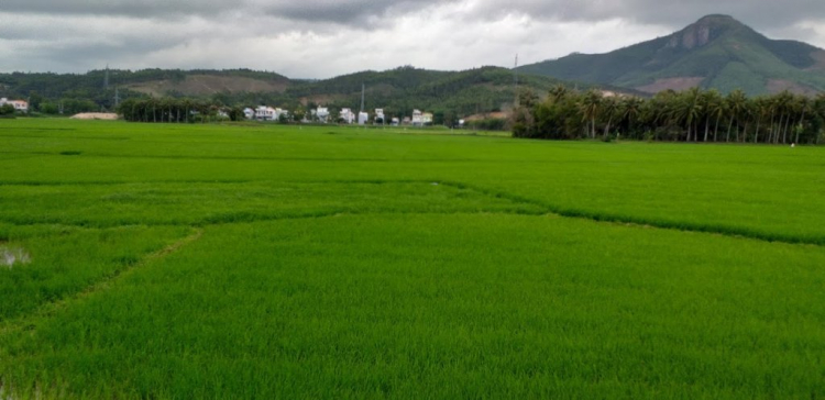 chia sẻ kinh nghiệm đi xuyên Việt chia sẻ kinh nghiệm đi xuyên Việt
