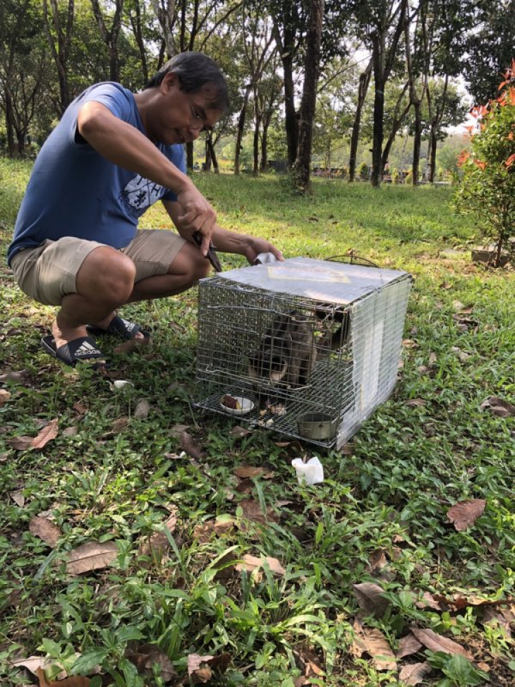 TRồng cây gì chịu nóng nắng trên sân thượng ?? TRồng cây gì chịu nóng nắng trên sân thượng ??